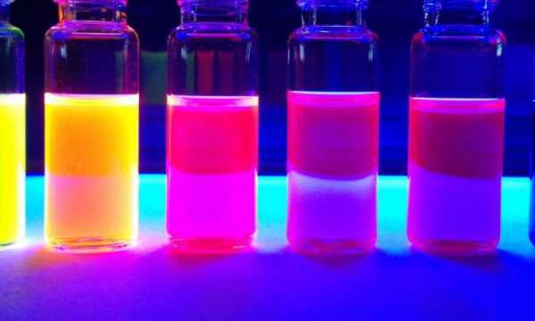 活体成像荧光染料试剂是什么 活体成像荧光染料试剂-图2
