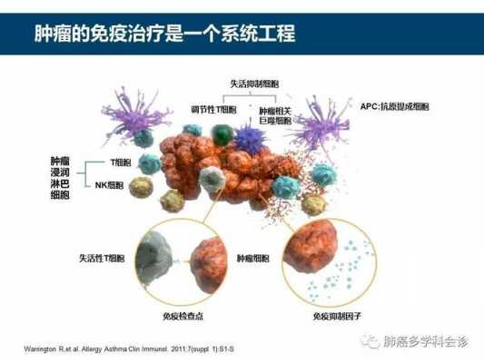  肿瘤免疫包括肿瘤疫苗「肿瘤免疫针有什么副作用」-图3