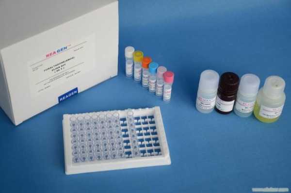 抗氧化性分析试剂盒（抗氧化试剂盒说明书）-图3