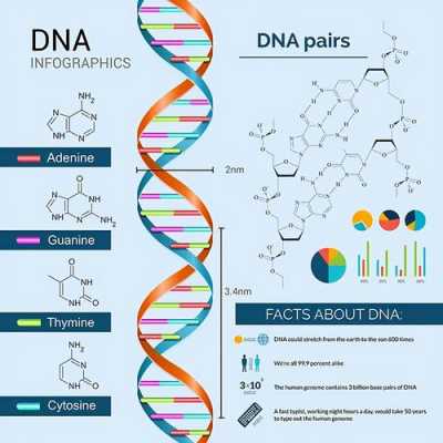 试剂基因测序_基因测序实验技术-图3