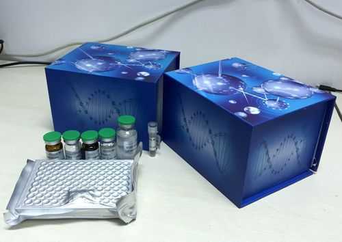 植物抗氧化酶测试剂盒-图3