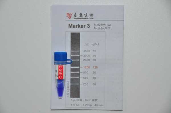 marker试剂_marker试剂1ml-图1