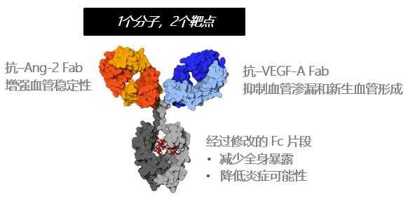 vegf抗体是什么-图1
