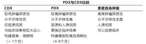 pdtx模型-pdx模型什么意思-图2