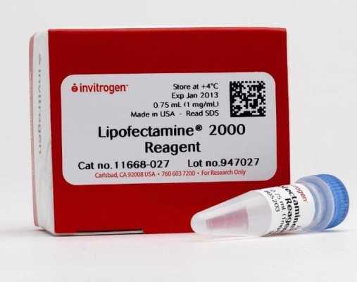 转染试剂lipo2000 蛋白转染试剂盒-图1