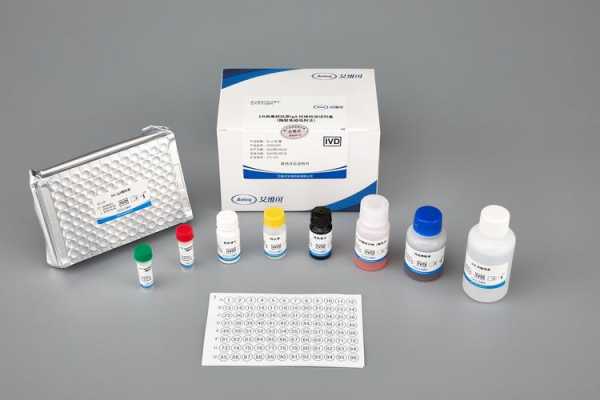 EB病毒试剂厂家新_eb病毒核酸定量检测试剂盒-图3