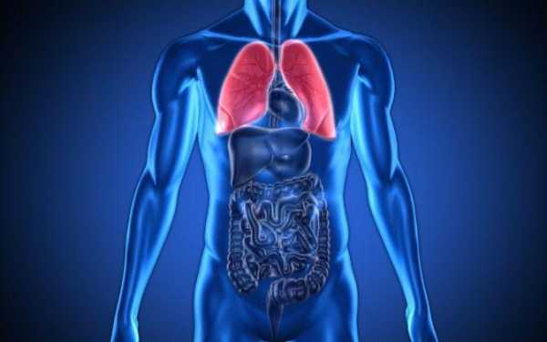  心肺的作用和功能是什么「心肺指的是什么器官」-图2
