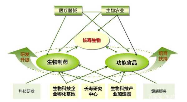 生物技术开发是什么_生物技术开发分为哪三类-图1