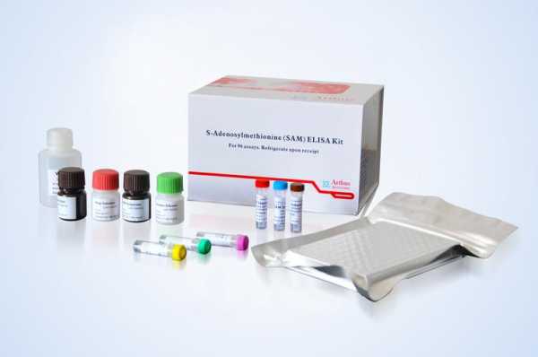 生物检测试剂盒PPT-图1
