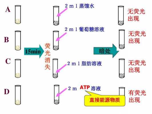 ATP试剂可以存放多久,atp检测的原理 -图2