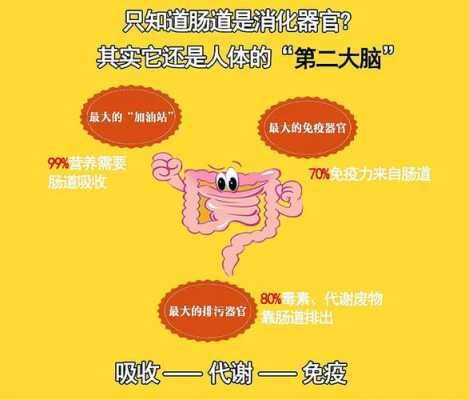  通诺肠外营养有什么用「通肠胶囊的功效」-图2