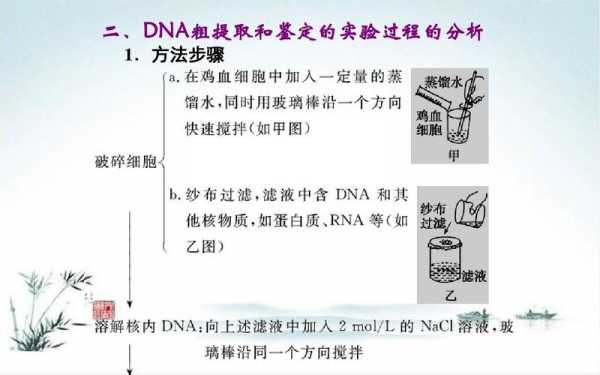  DNA去除试剂是什么「去除dna样品中的蛋白质」-图1