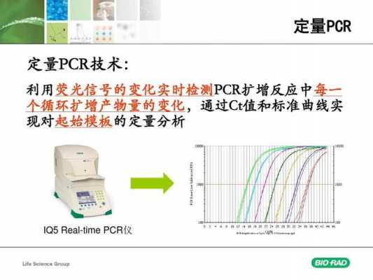 荧光定量pcrq5-荧光定量pcrcq值是什么-图3