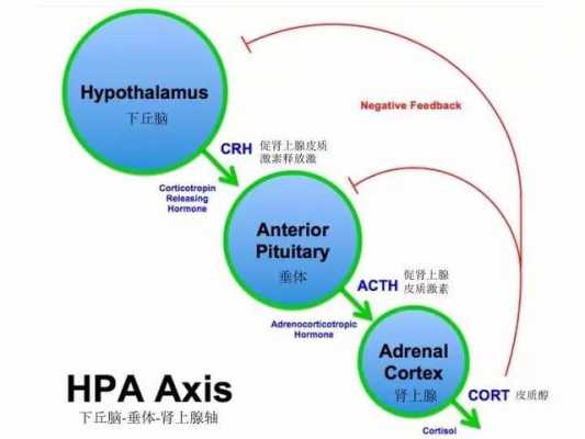 hpa和kpa是什么意思（pa和hpa是一个意思吗）-图1