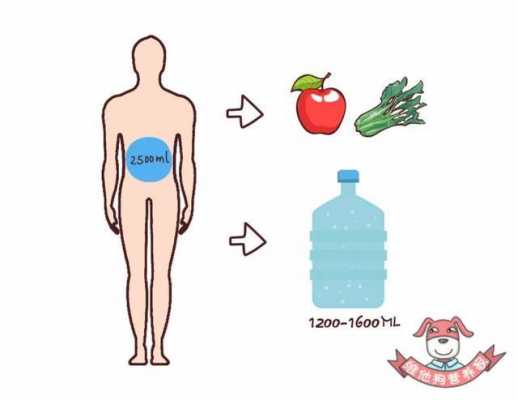 为什么身体水分不足-inbody身体水分为什么会少-图1