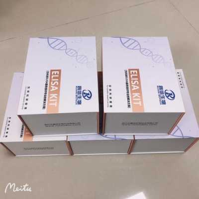 南京建成蛋白质试剂盒_南京建成生物试剂盒-图3