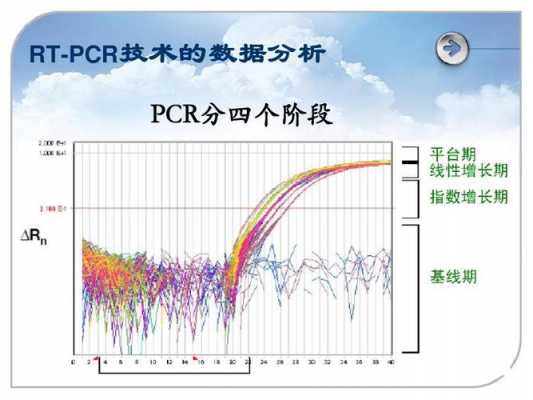 荧光定量pcr qpcr-图3