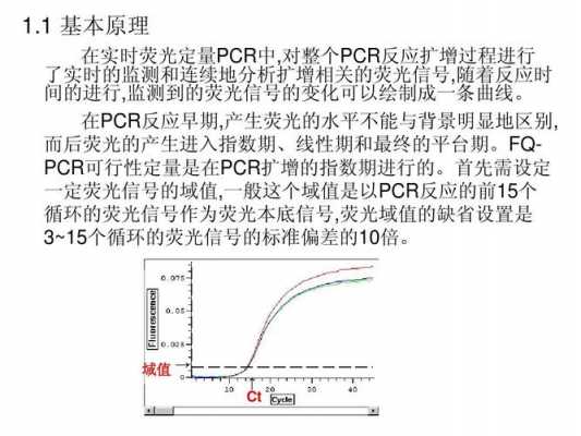 荧光定量pcr qpcr-图2