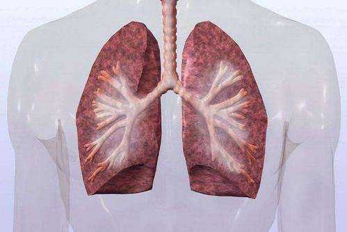 肺朗有什么症状,肺肺病症状表现有哪些 -图2