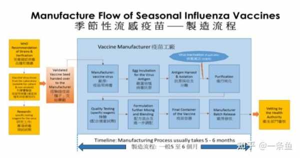 流感疫苗制备方法-流感疫苗如何研发-图2