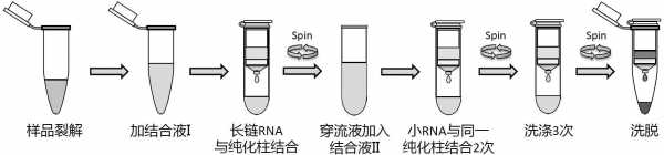  柱式基因组提取试剂盒原理「柱式rna提取试剂盒操作流程」-图1