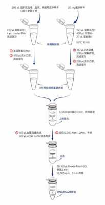  柱式基因组提取试剂盒原理「柱式rna提取试剂盒操作流程」-图3