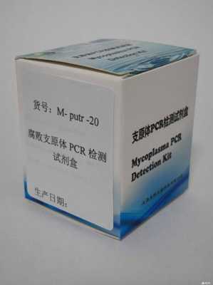 pcr试剂盒技术要求是什么-pcr试剂盒技术要求-图3