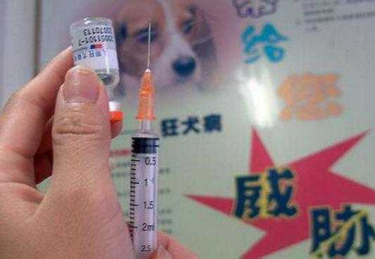 狂犬疫苗引起的疱疹_狂犬疫苗引起的疱疹多久能好-图3