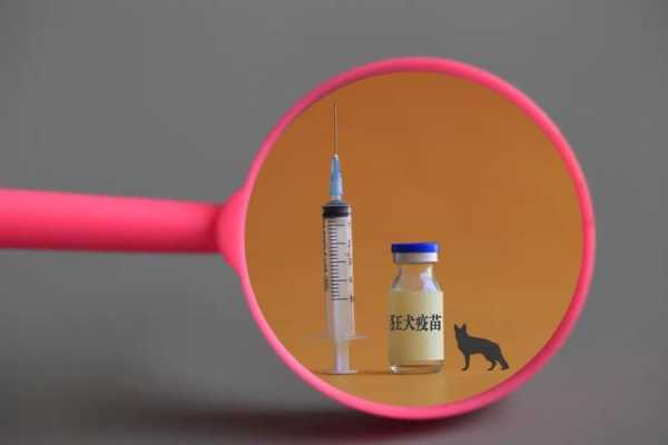打预防狂犬病疫苗有用吗-如果已经预防狂犬疫苗-图2