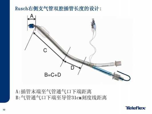 双腔气管插管是什么,双腔气管插管的原理图 -图1
