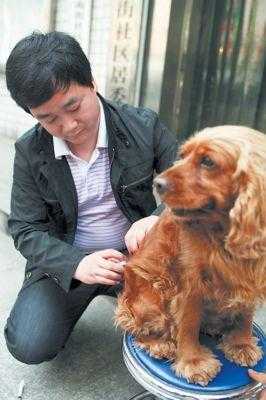 关于上海狗打疫苗多少钱的信息-图2