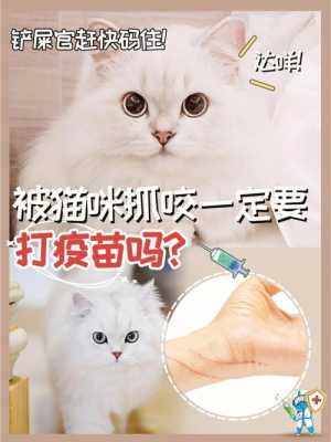 猫咪疫苗后会嘴巴痛吗-图1