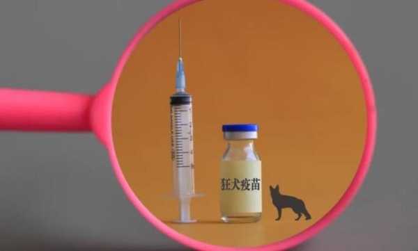 宁波哪里测狂犬疫苗抗体,宁波哪里可以查狂犬疫苗抗体 -图2