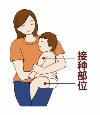 婴儿接种疫苗的部位 婴儿疫苗肌注位置-图1