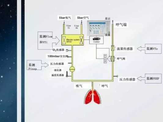 呼吸机有什么结构组成,呼吸机的结构有哪几个主要部分 -图1