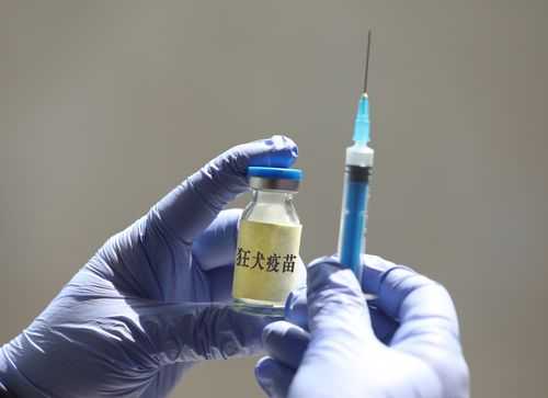 广州打狂犬病疫苗-图3