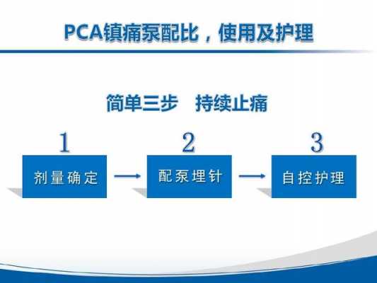 pca泵是什么意思缩写_pca泵的优点-图3