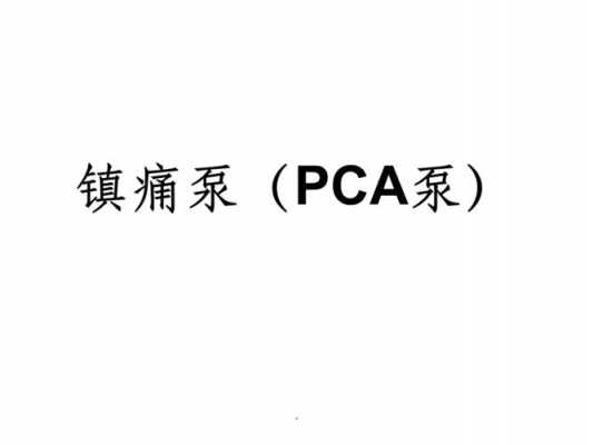 pca泵是什么意思缩写_pca泵的优点-图1