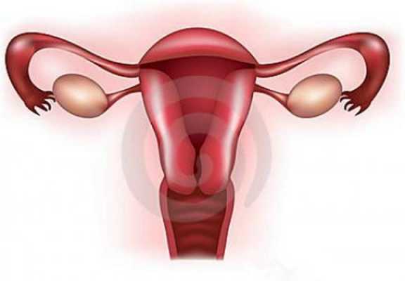 子宫脱垂吃什么药效果好,子宫脱垂有什么药可治 -图1