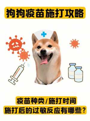 幼犬用打疫苗吗,幼犬需要打的疫苗有哪些 -图1