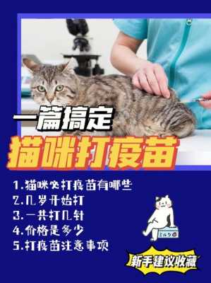 宠物猫疫苗多久打一次多少钱-宠物猫疫苗多久打完-图2