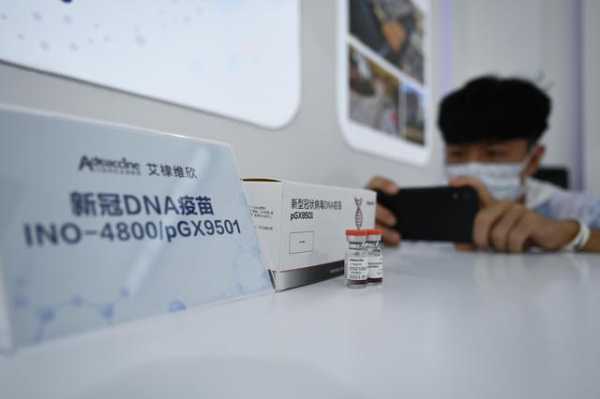 国内dna疫苗,中国的dna疫苗 -图2