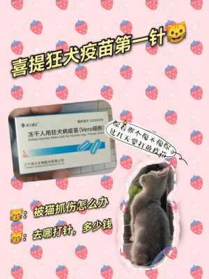 狂犬疫苗北京丰台,丰台打狂犬疫苗 -图3