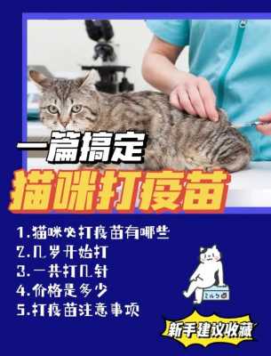 给猫打疫苗没打进去怎么办 没钱给猫打疫苗-图1