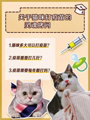 猫的疫苗针怎么打 怎样给猫疫苗的部位-图1