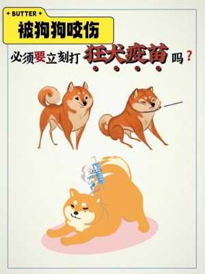 中国狂犬疫苗的骗局,我国的狂犬疫苗安全吗 -图2