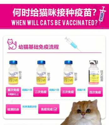 猫打疫苗打在哪-猫咪打的疫苗去哪里打-图1